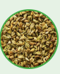 Ajwain