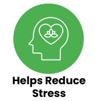 Certification badge 5