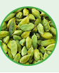 Cardamom