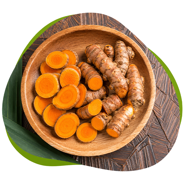 Curcuma Longa